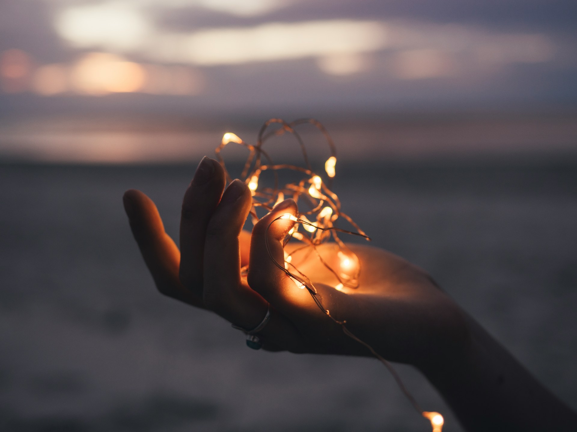 Natuurlijk licht in je serre: circadiaanse verlichting voor een gezond ritme