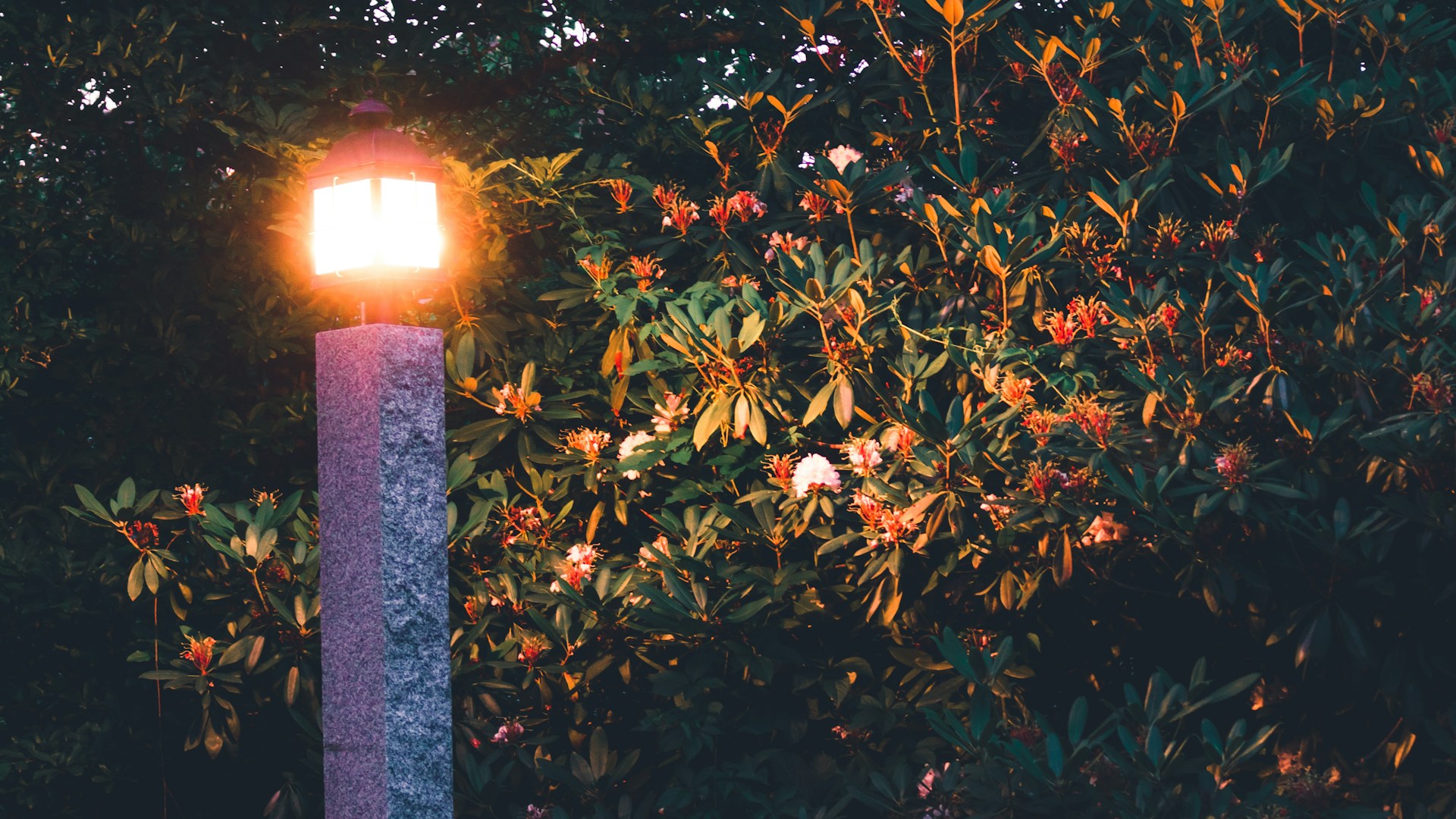 Buiten mag stralen met in lite verlichting
