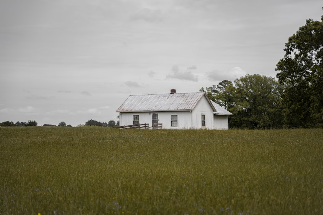 De perfecte lamp boven je kookeiland kiezen
